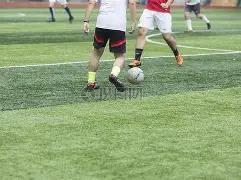 克洛普归来,风云再起,揭秘,澳门美高梅赌场网址官网玩家首选,澳门美高梅赌场网址官网,澳门美高梅赌场网址官网游戏平台